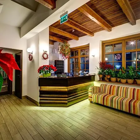 Lesne Patio كاتوفيتسه