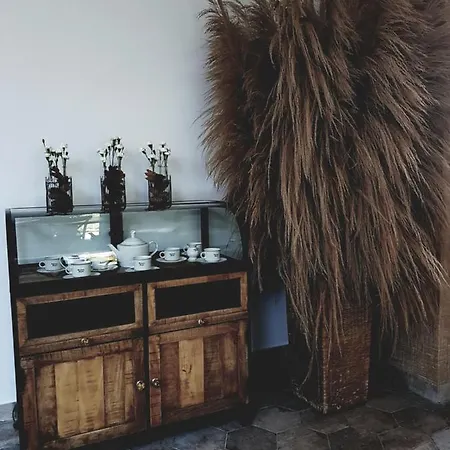 Lesne Patio كاتوفيتسه