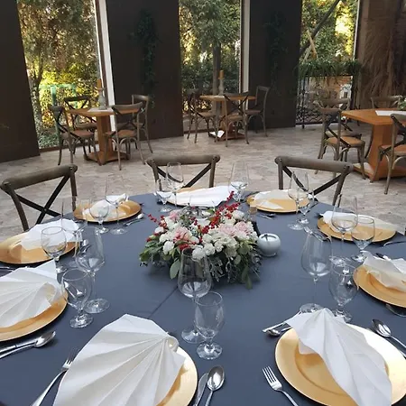 Lesne Patio * كاتوفيتسه