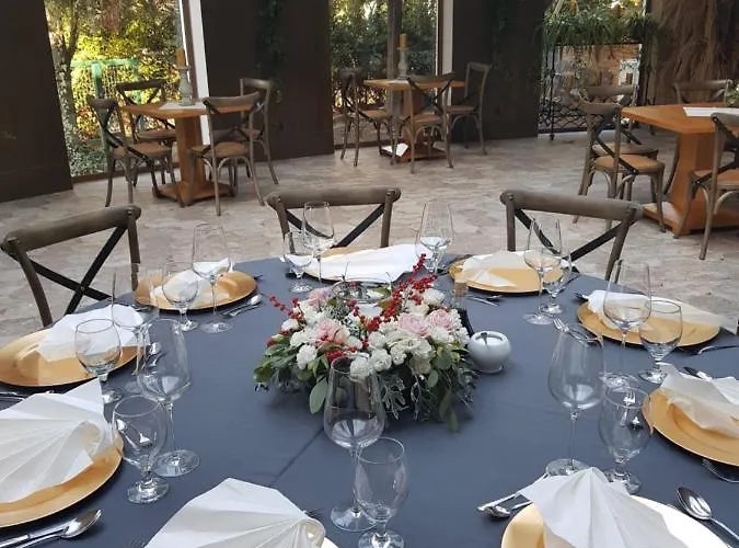 Lesne Patio * Katovice